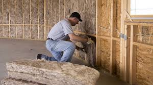 Best Insulation for Existing Homes  in Richwood, NJ